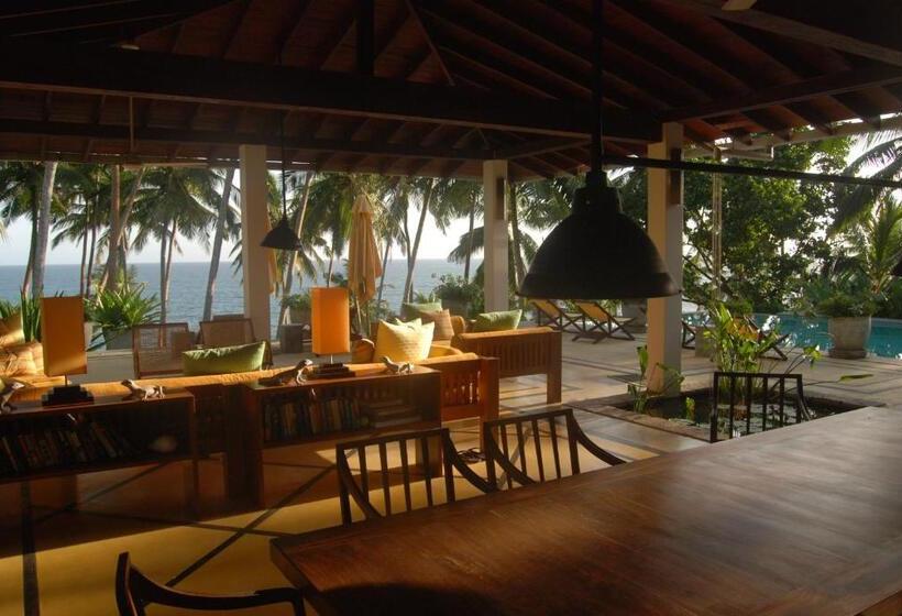 膳宿费 The Saffron House