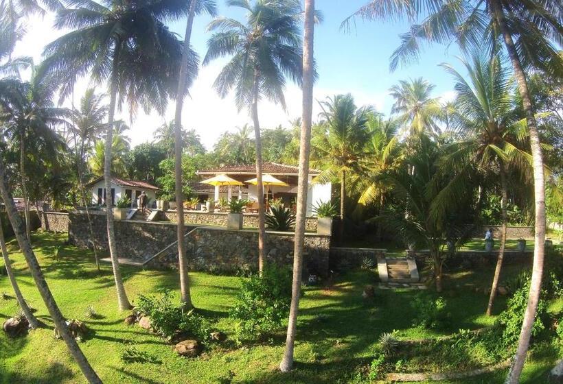 膳宿费 The Saffron House