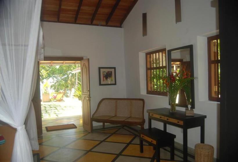 ペンション The Saffron House