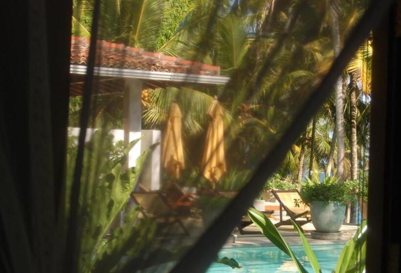 膳宿费 The Saffron House