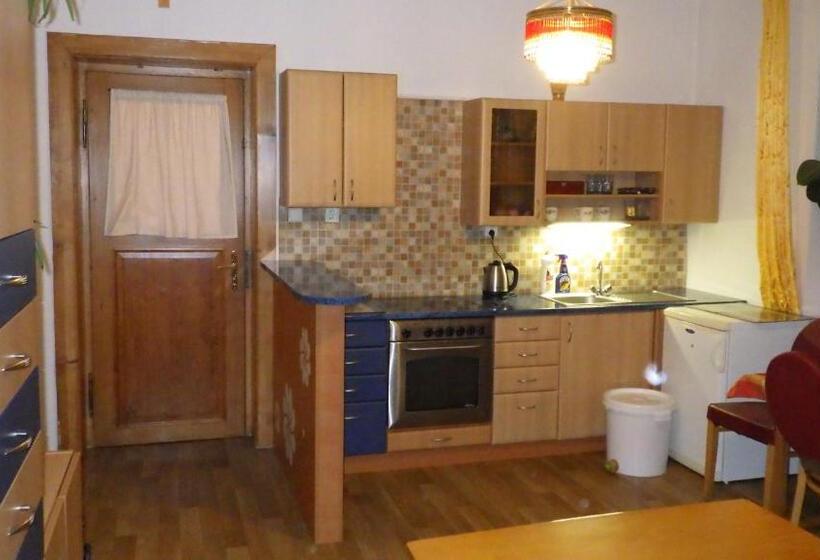 膳宿费 Ubytování U Dolanských