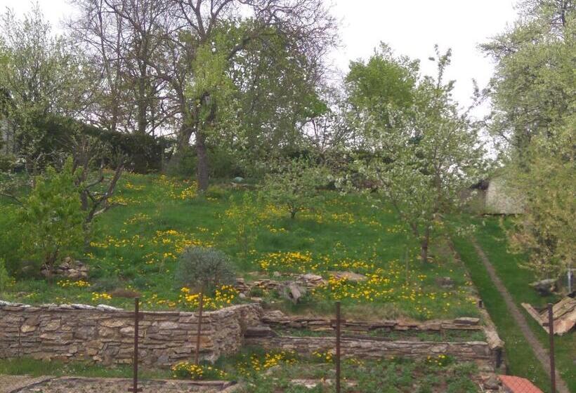 膳宿费 Ubytování U Dolanských