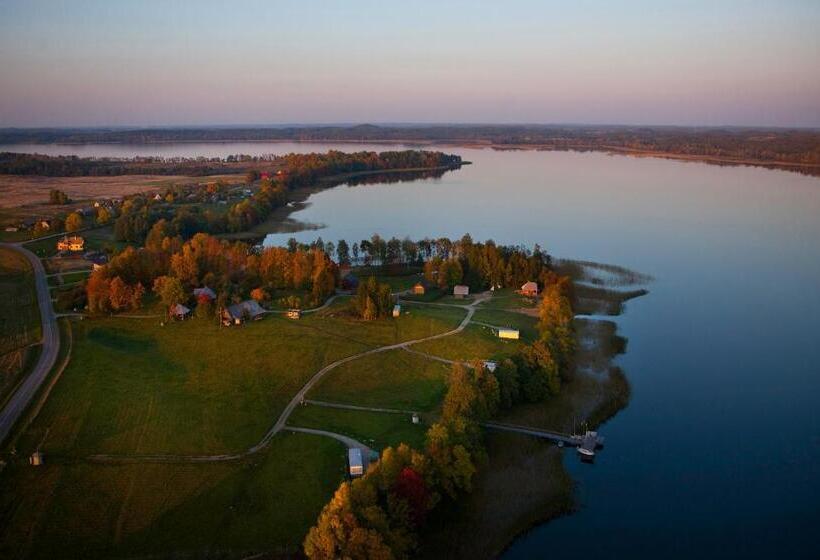 پانسیون Vidų Guest House