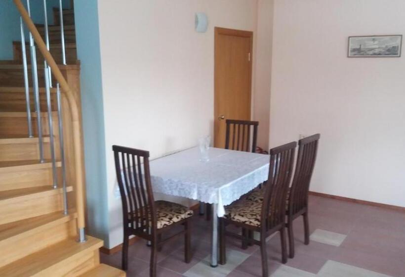 پانسیون Vidų Guest House