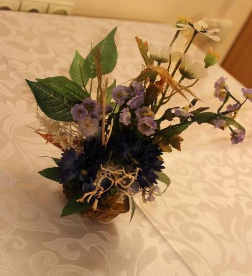 پانسیون Vidų Guest House