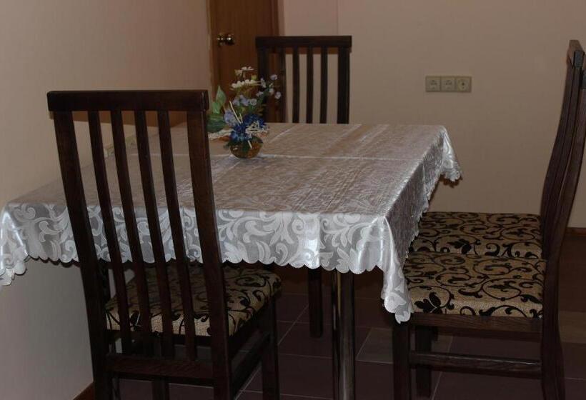 پانسیون Vidų Guest House