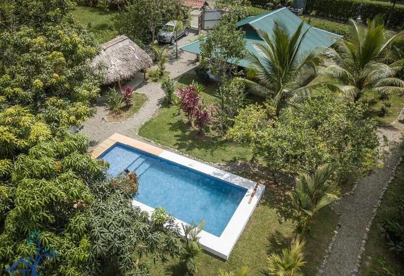 פנסיון Villa Mango   Private Pool   12px