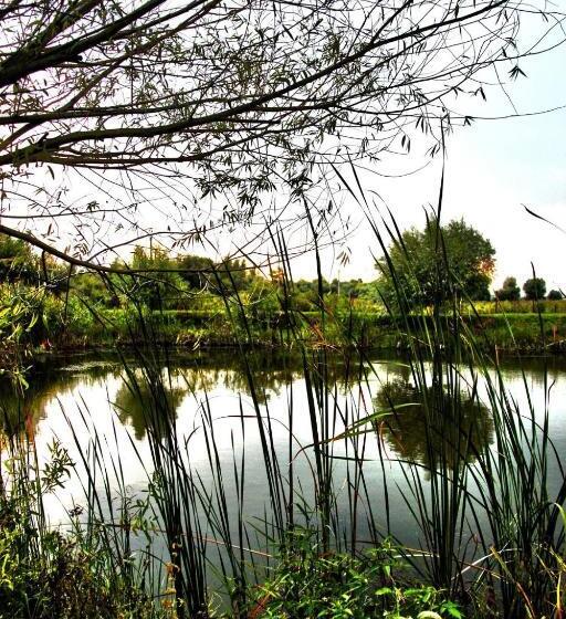 Пансион Vulturul Pescar