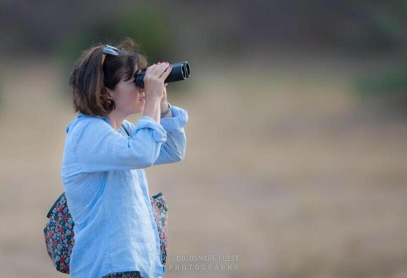 ペンション Wilpattu Dolosmahe