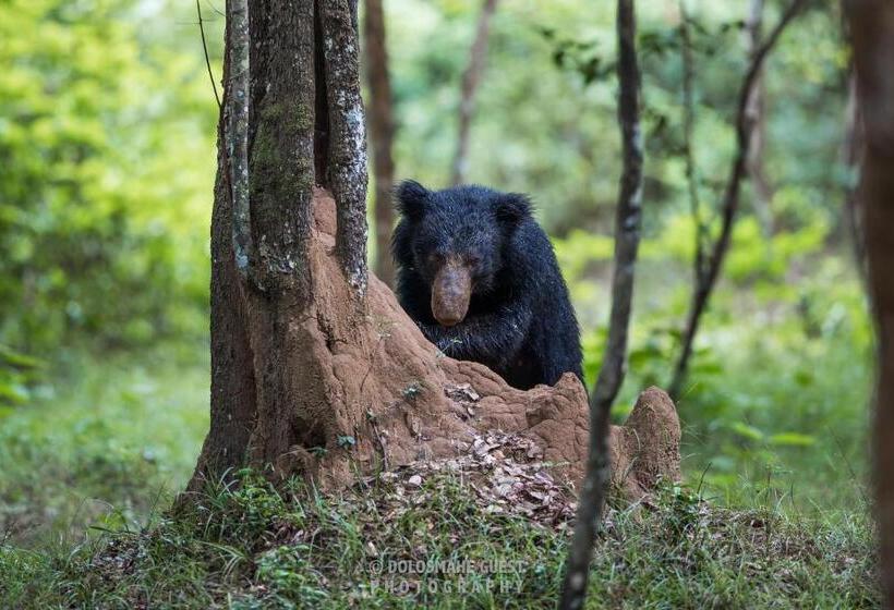 ペンション Wilpattu Dolosmahe