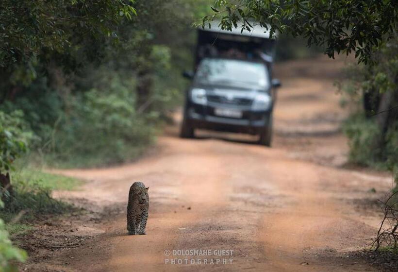 ペンション Wilpattu Dolosmahe