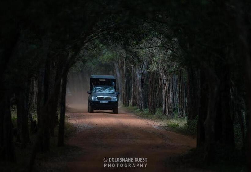 ペンション Wilpattu Dolosmahe