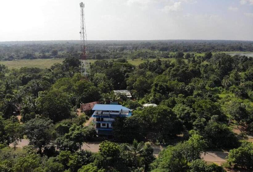 ペンション Wilpattu Dolosmahe