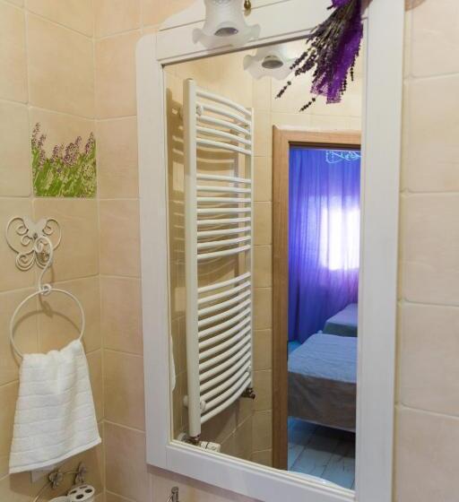 Pensiunea Agroturistica Floare De Camp