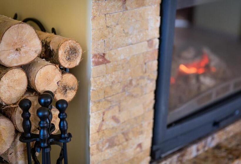 Pensiunea Agroturistica Floare De Camp