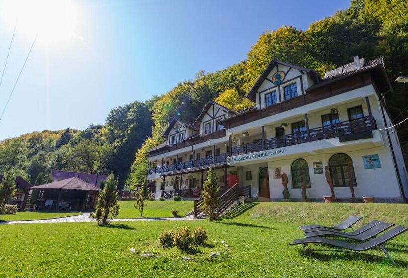 Pensiunea Ciprian
