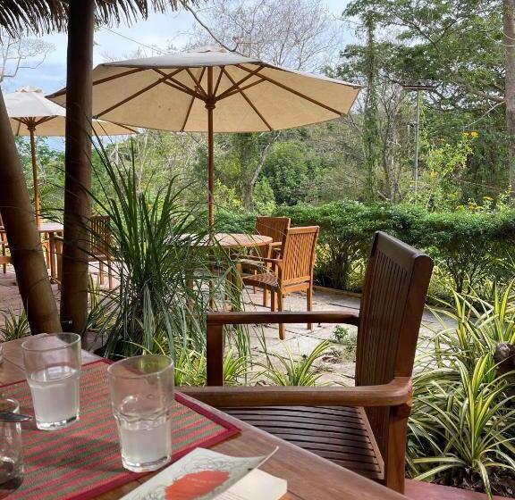 Resort Big Tree Cottages