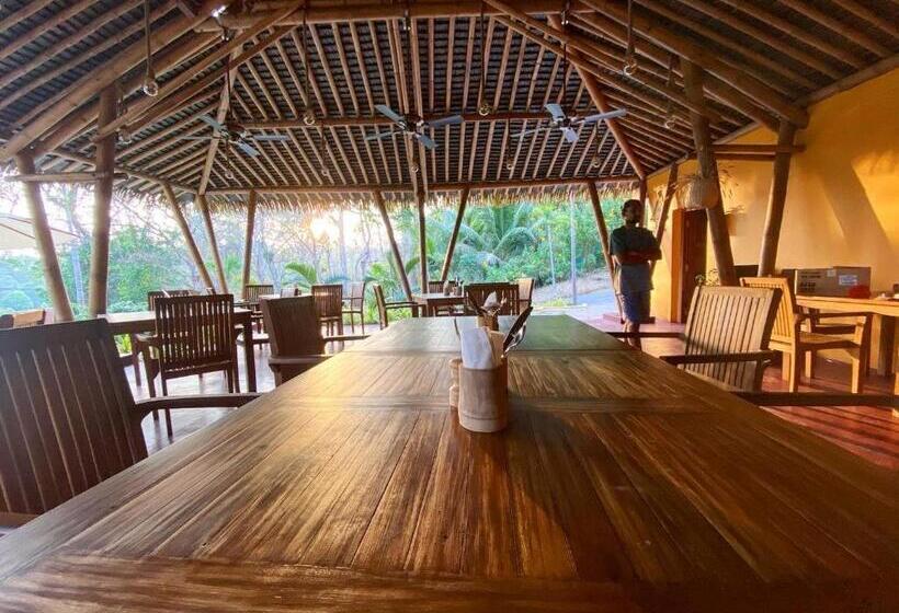 אתר נופש Big Tree Cottages