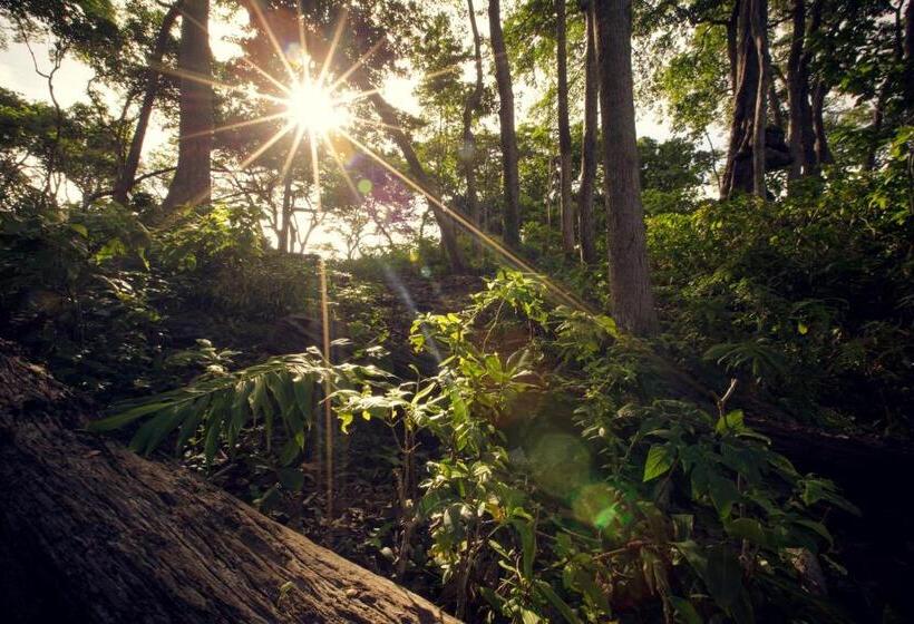 אתר נופש Big Tree Cottages