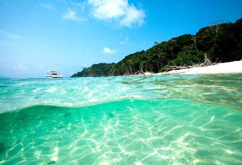 אתר נופש Big Tree Cottages