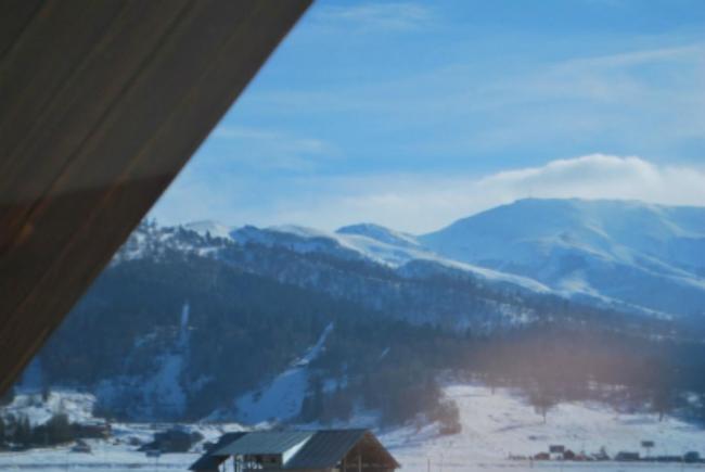 استراحتگاه Elite House