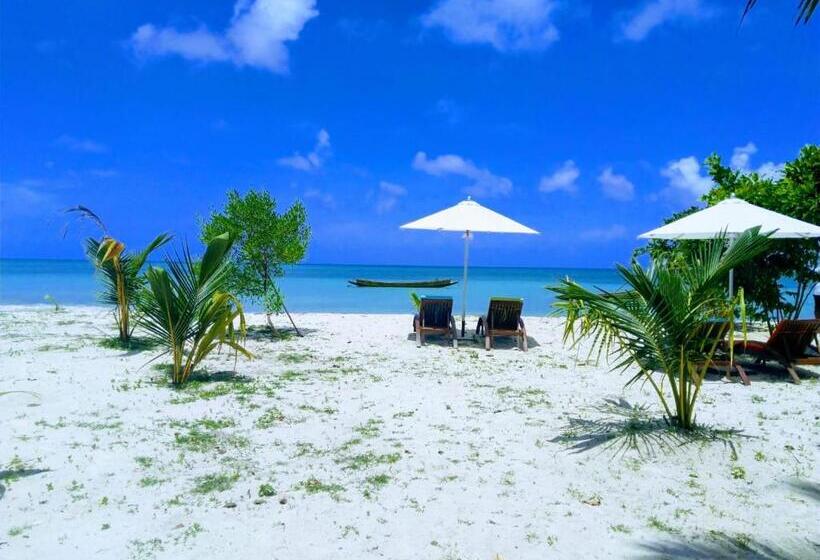 渡假胜地 Sandyy Wavess