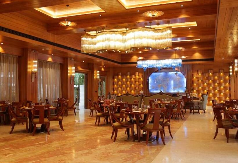 渡假胜地 Sandyy Wavess