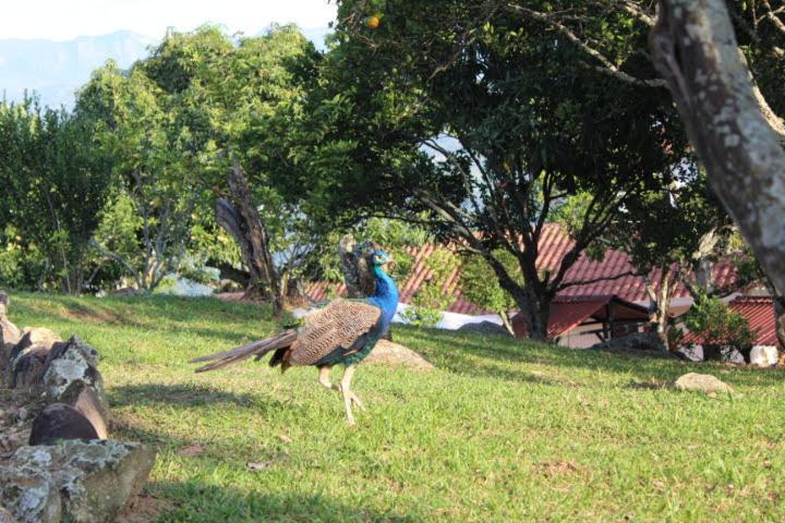 リゾートホテル Toscana