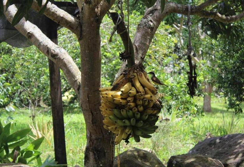 リゾートホテル Toscana