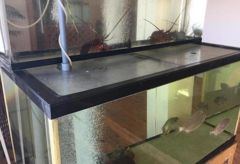 ريوكان Izu Katase Onsen Ayumitei Fukumatsuso