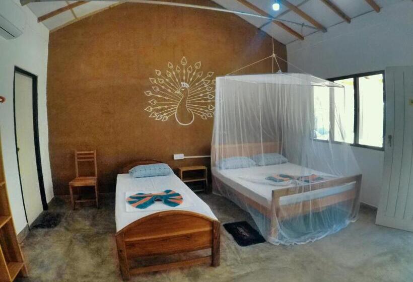 Kalpitiya Kite Hostel