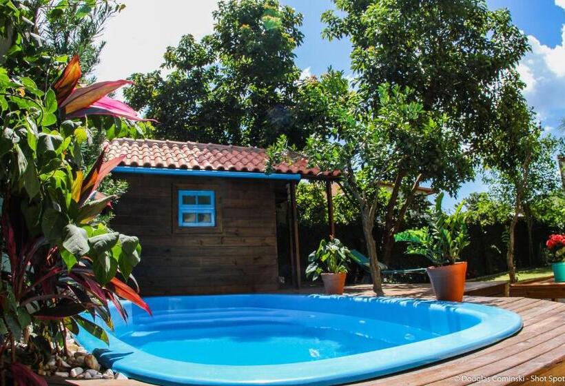 Venere   Bed And Breakfast