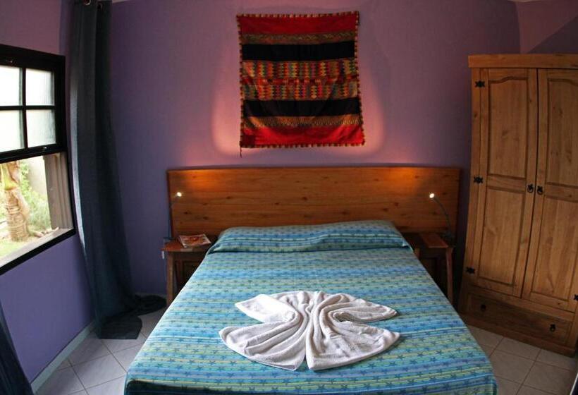 Venere   Bed And Breakfast