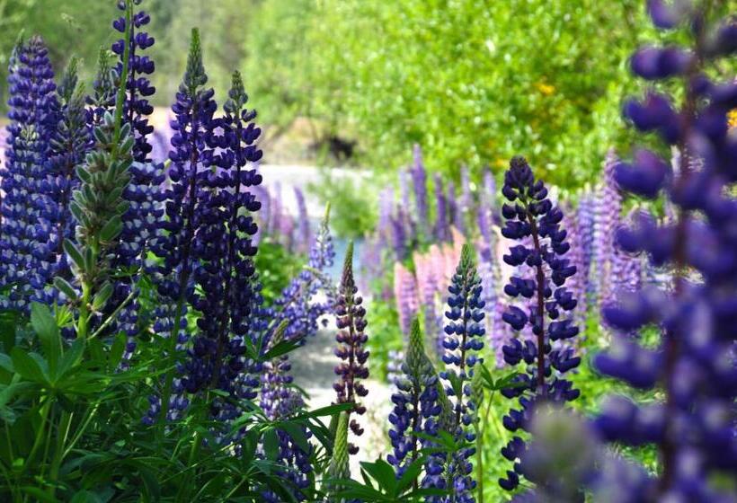 فندق صغير La Casona De Odile