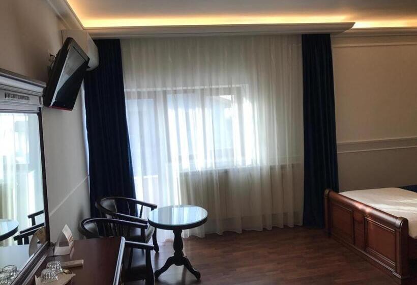 旅馆 Pension Hanul Andritei