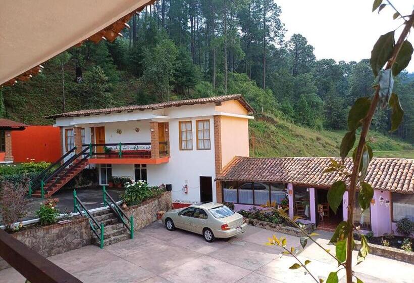 فندق صغير Plaza Don Gabino Hotel Y Restaurante