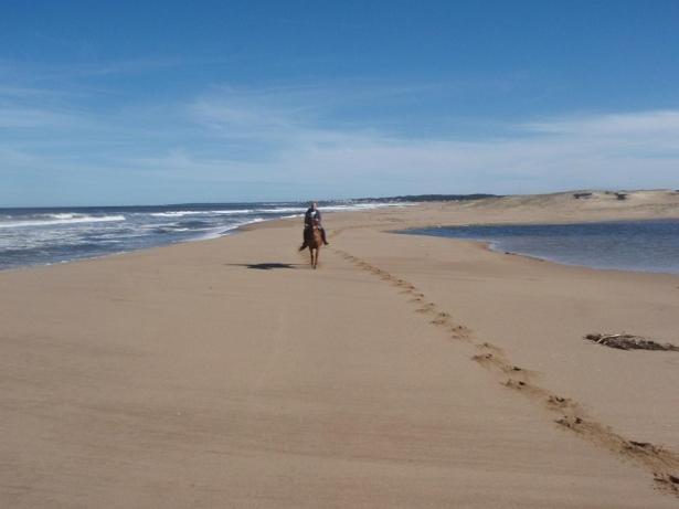 ユースホステル Posada Anacahuita
