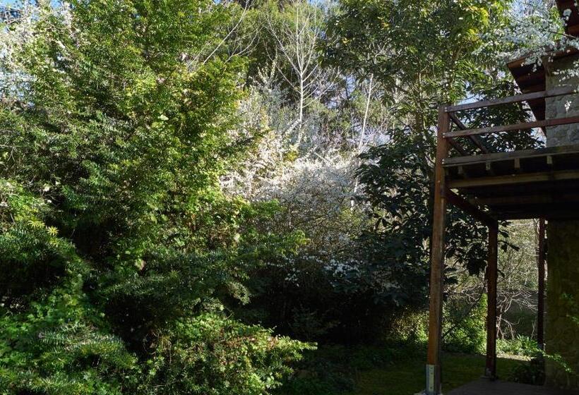 הוסטל Posada Cobodemar