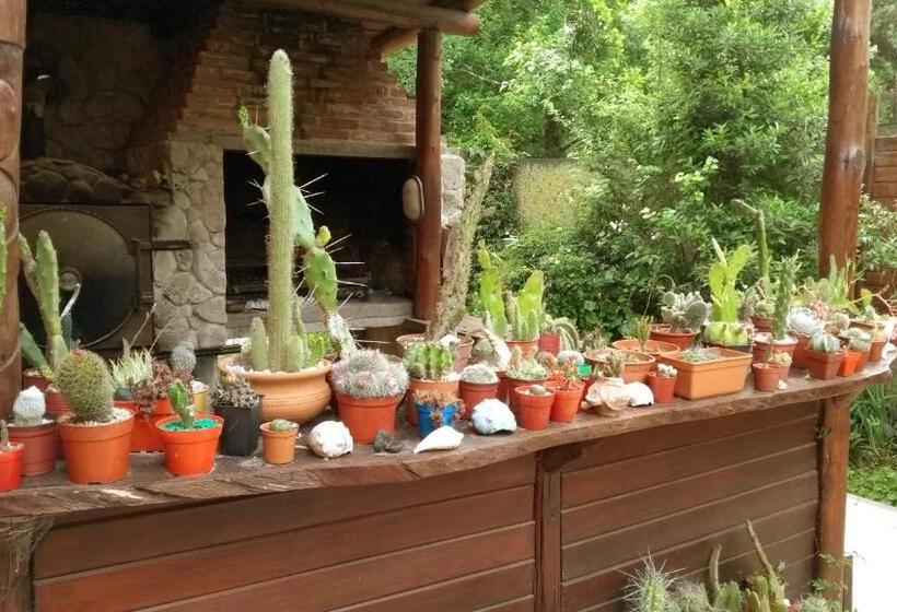 Общежитие Posada Cobodemar