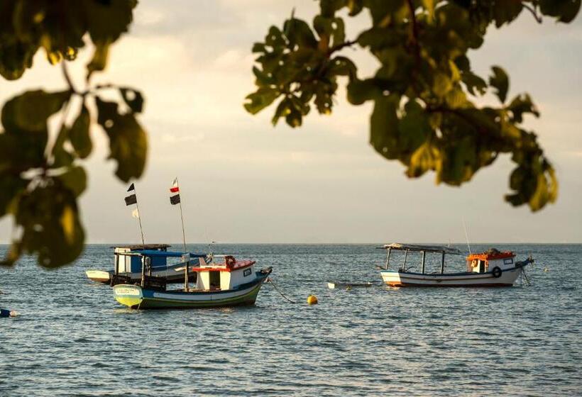 فندق صغير Pousada Armação Dos Ventos