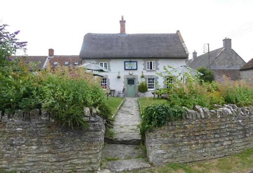 호스텔 The Kingsdon Inn