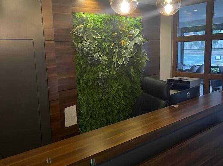 Bed and Breakfast çamlıca