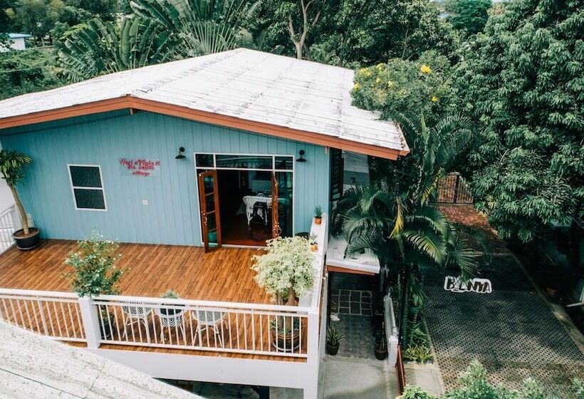 تختخواب و صبحانه Banya Bnb