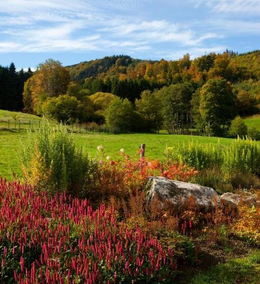 Bed and Breakfast Chambre D Hôtes La Forestière