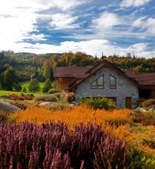 Bed and Breakfast Chambre D Hôtes La Forestière