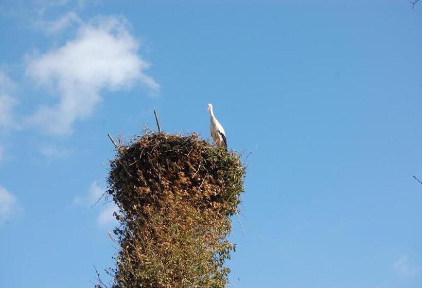 민박 De Willigen Logies