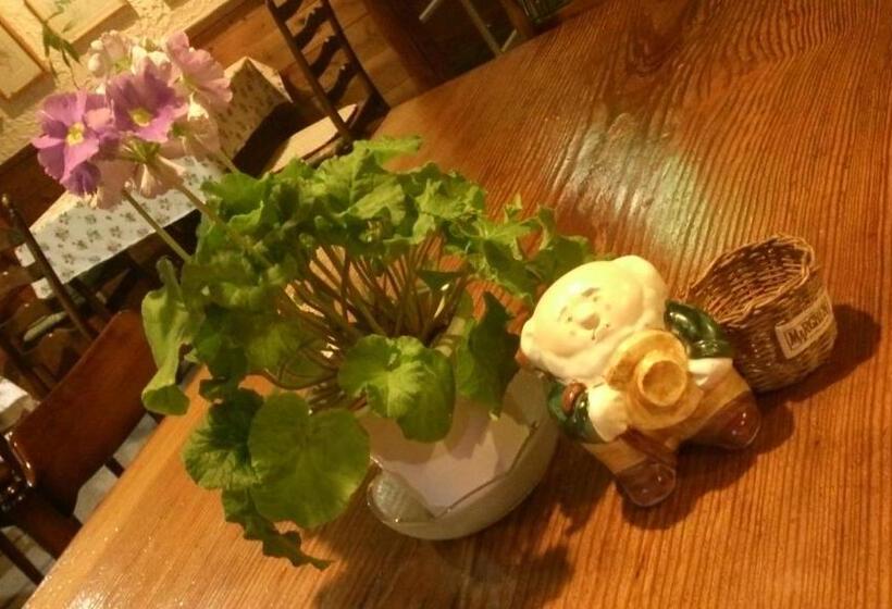 Bed and Breakfast Gallery & Lodge Noichigo