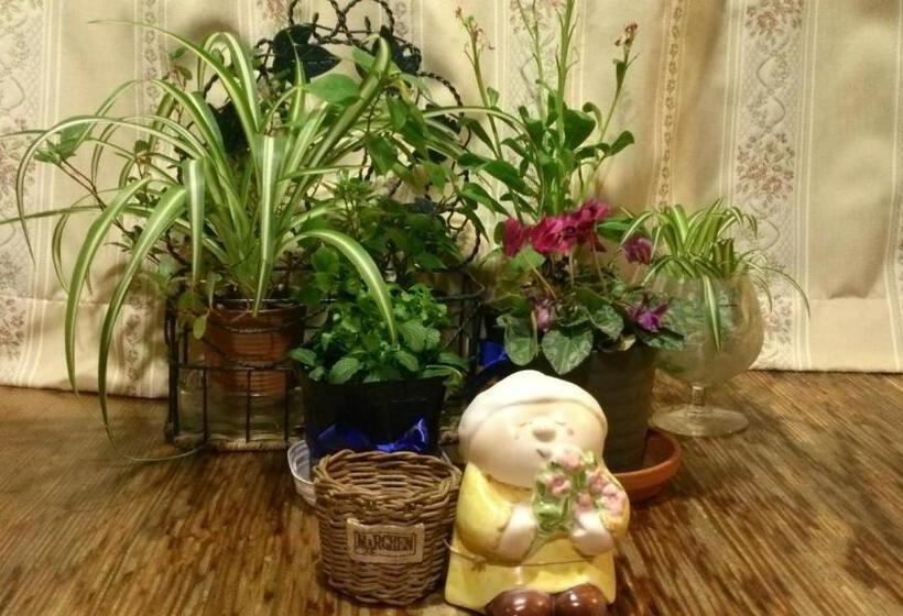 Bed and Breakfast Gallery & Lodge Noichigo