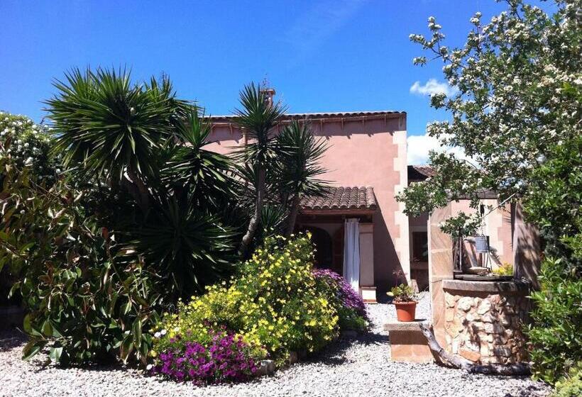 تختخواب و صبحانه Hacienda D Armando