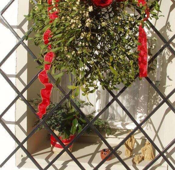 تختخواب و صبحانه Haus Dr. Küng